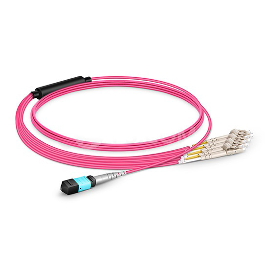 MTP Female to 4 LC UPC Duplex 8 Fibers OM4 (OM3) 50/125 Multimode Breakout Cable, Type B, Elite, Plenum (OFNP), Magenta