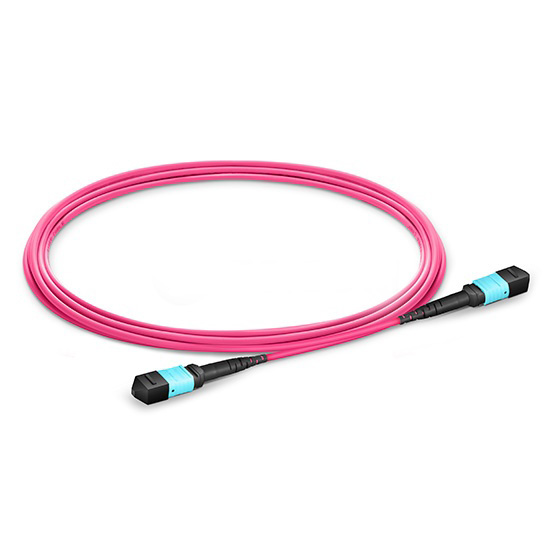  MTP Female to Female 12 Fibers OM4 (OM3) 50/125 Multimode Trunk Cable, Type A, Elite, Plenum (OFNP), Magenta