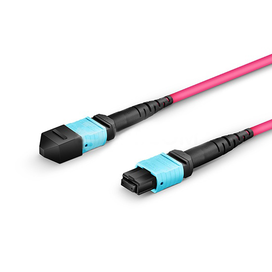  MTP Female to Female 12 Fibers OM4 (OM3) 50/125 Multimode Trunk Cable, Type A, Elite, Plenum (OFNP), Magenta