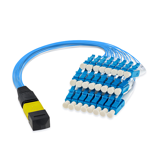 MPO MTP Module Fanout Fiber Patch Cord 