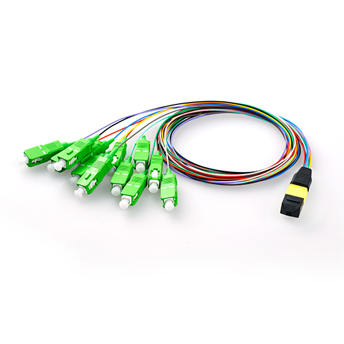 MPO MTP Module Fanout Fiber Patch Cord 