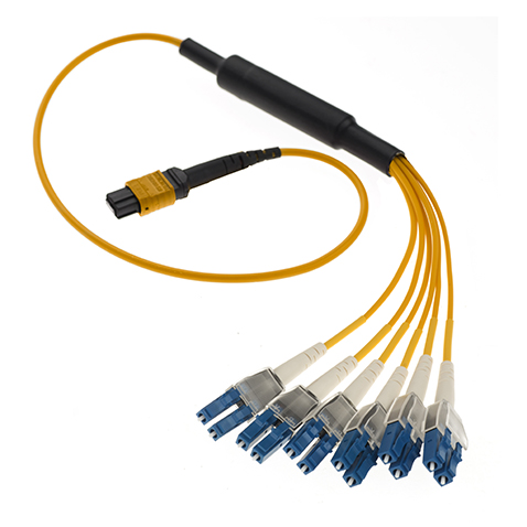MPO/MTP-SC/LC Patch Cord 